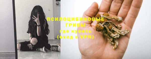 MDMA Premium VHQ Козельск
