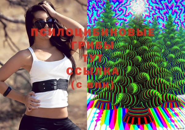 мефедрон мука Козловка