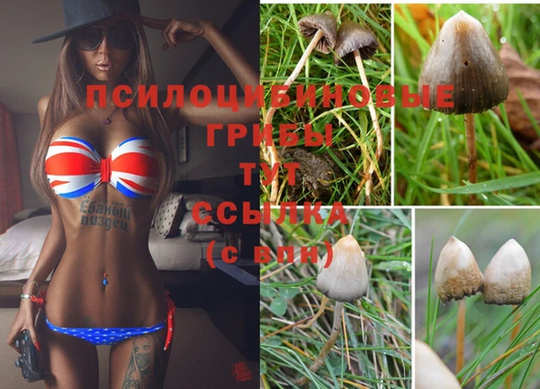 мет Кодинск