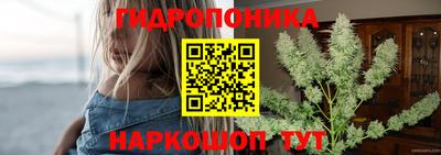 индика Дмитров