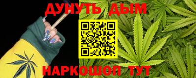 индика Дмитров