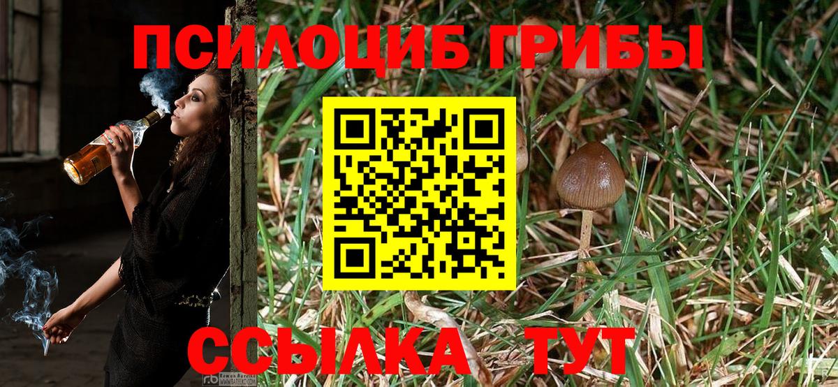 Псилоцибиновые грибы Cubensis Краснокамск