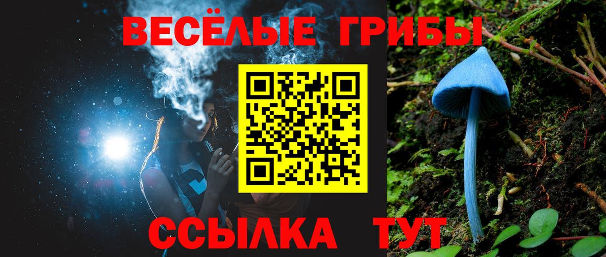 Краснокамск  Галлюциногенные грибы ЛСД  Вход с VPN 