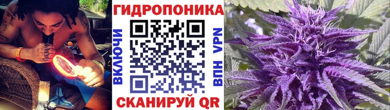 Конопля White Widow  купить  сайты  ОМГ ОМГ ссылки  Краснокамск 
